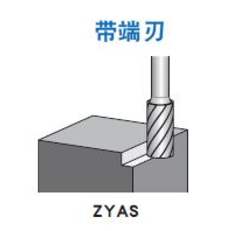 ZYAS 帶端刃的圓柱形